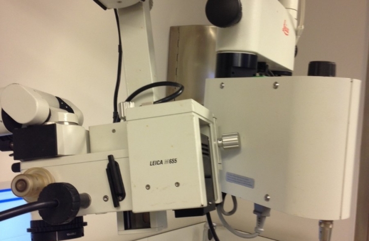 Microscopio Leika M655 